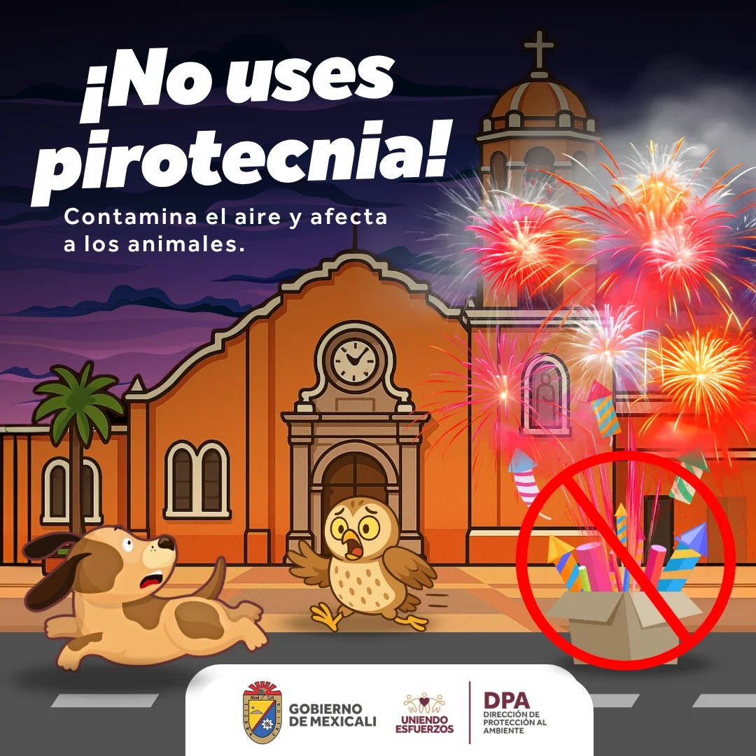 DPA: Celebración sin pirotecnia