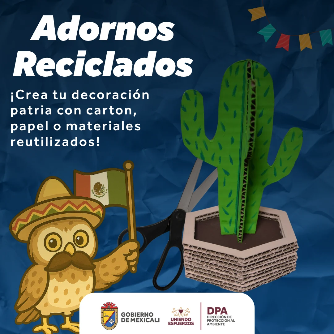 Adornos reciclados