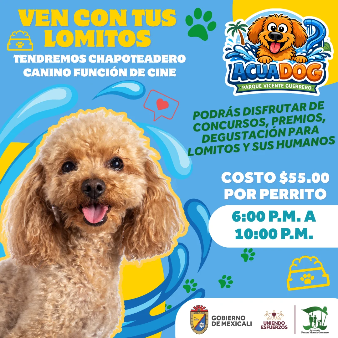 Parque Vicente Guerrero: Agua Dog: actividad con mascotas