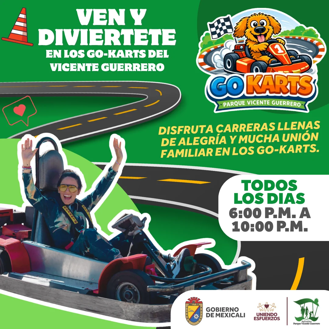 Go-karts del parque